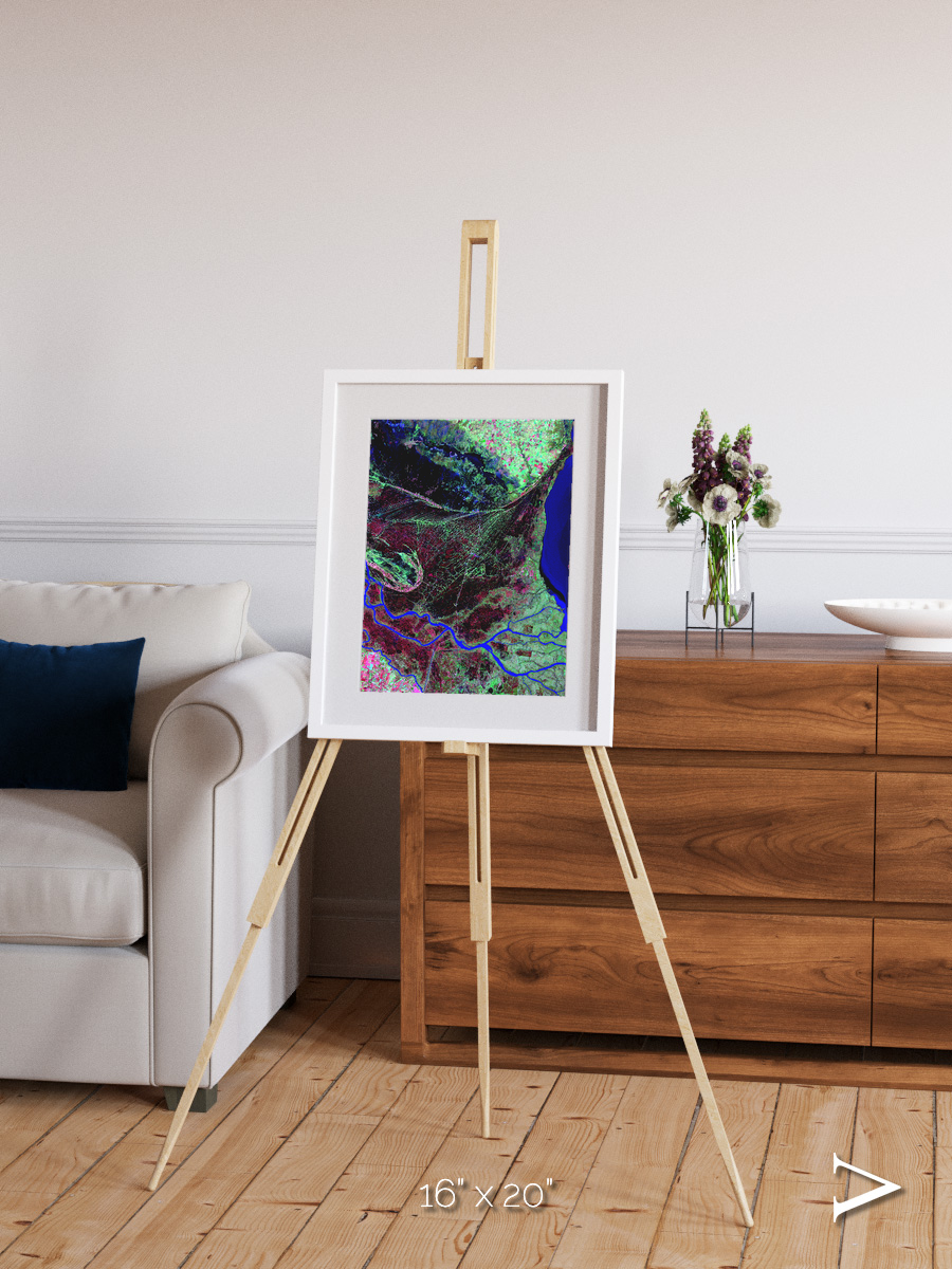 Braided Delta, Parana River Delta Framed & Mounted Print