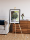 Windwritten Dunes, Brandberg Massif Framed & Mounted Print