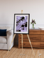 Vortices over Broutona, Kuril Islands Framed & Mounted Print