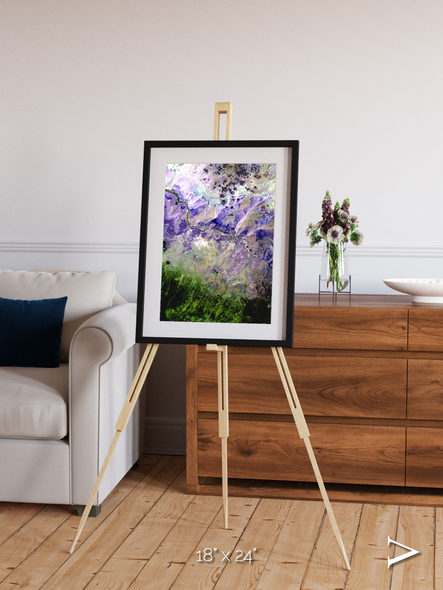Arid Mosaic, Desert to Forest Framed & Mounted Print