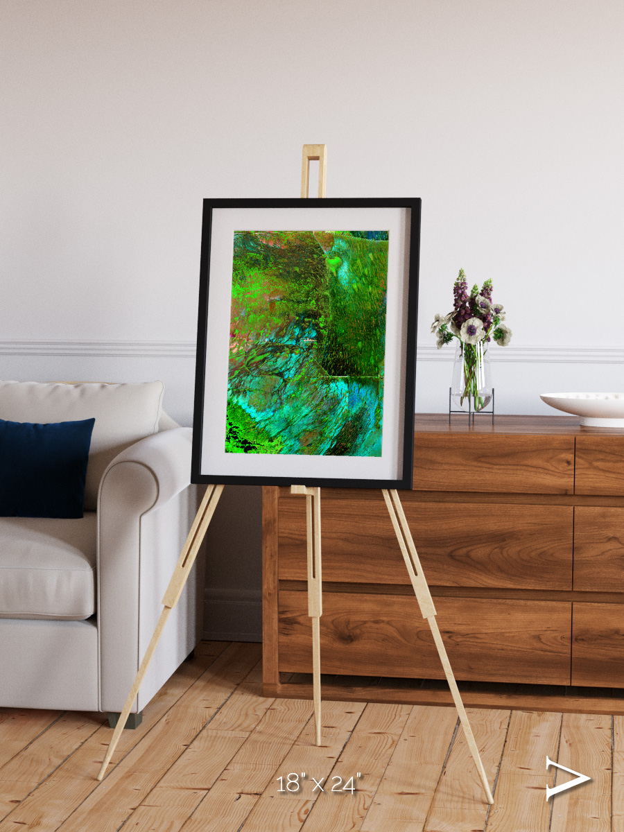 Linear Dunes, Florida Everglades Framed & Mounted Print