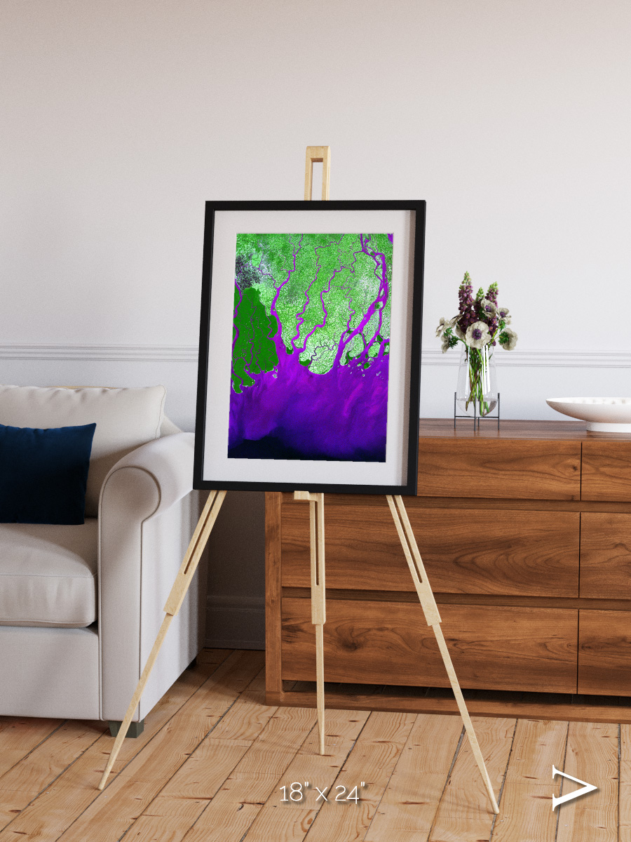 Delta Mosaic, Ganges River Delta Framed & Mounted Print