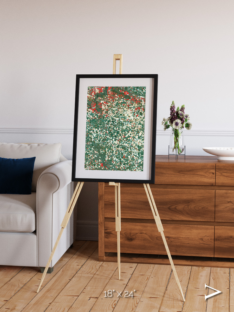 Patterns of Growth, Garden City Framed & Mounted Print