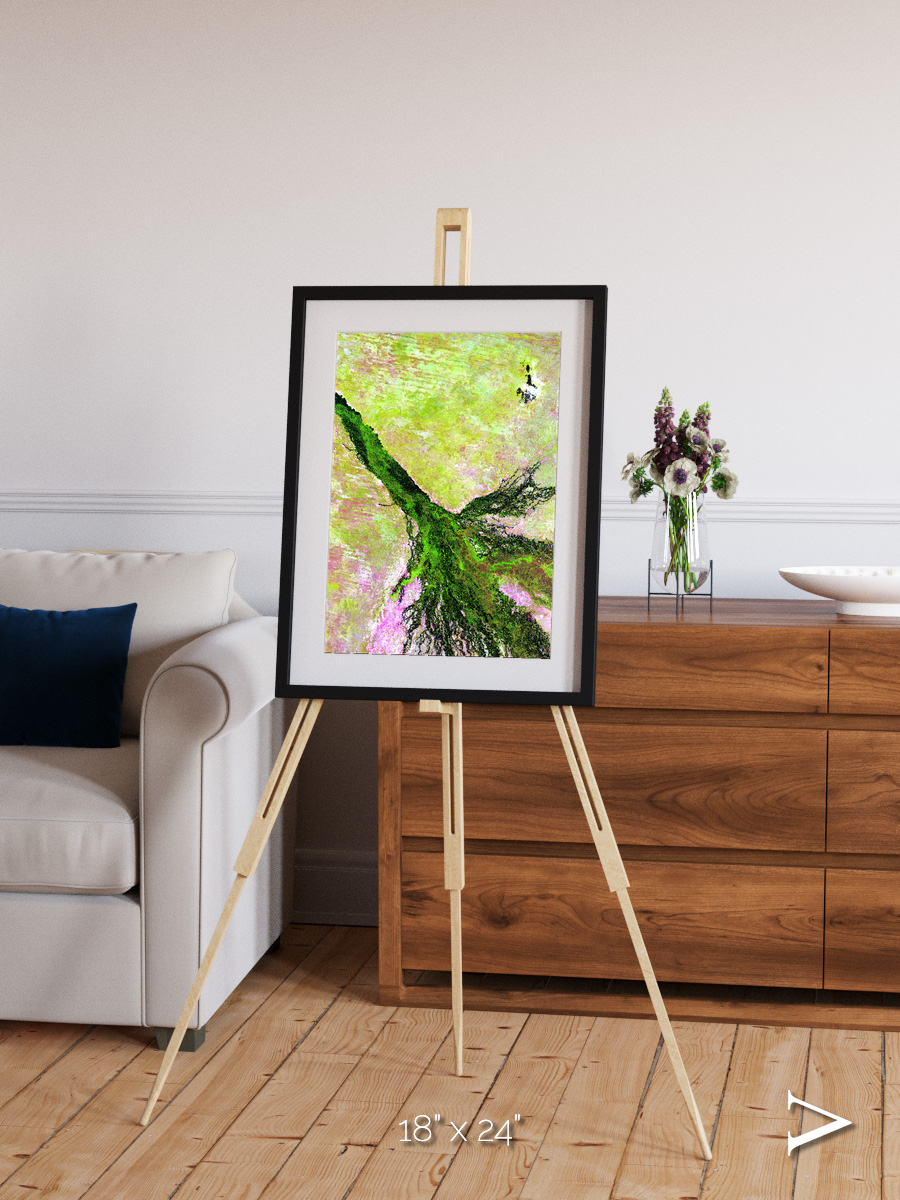 Inland Bloom, Okavango Framed & Mounted Print