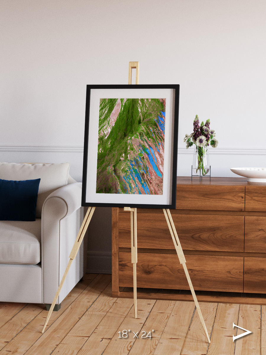 Desert Bloom, Lake Eyre Basin Framed & Mounted Print
