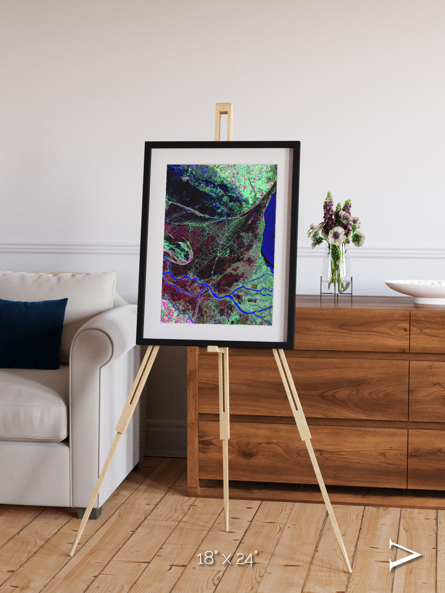 Braided Delta, Parana River Delta Framed & Mounted Print
