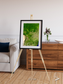 Ribbon River, South America Framed & Mounted Print