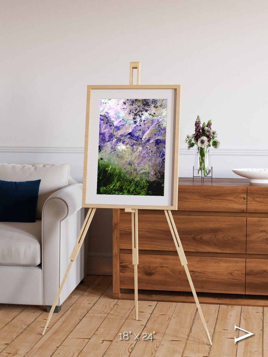 Arid Mosaic, Desert to Forest Framed & Mounted Print
