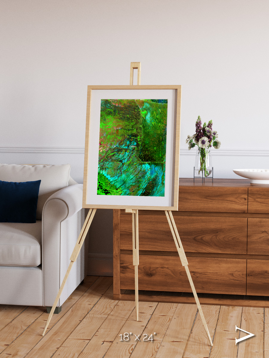 Linear Dunes, Florida Everglades Framed & Mounted Print