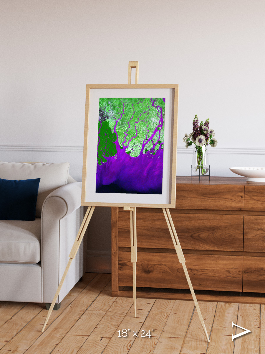 Delta Mosaic, Ganges River Delta Framed & Mounted Print