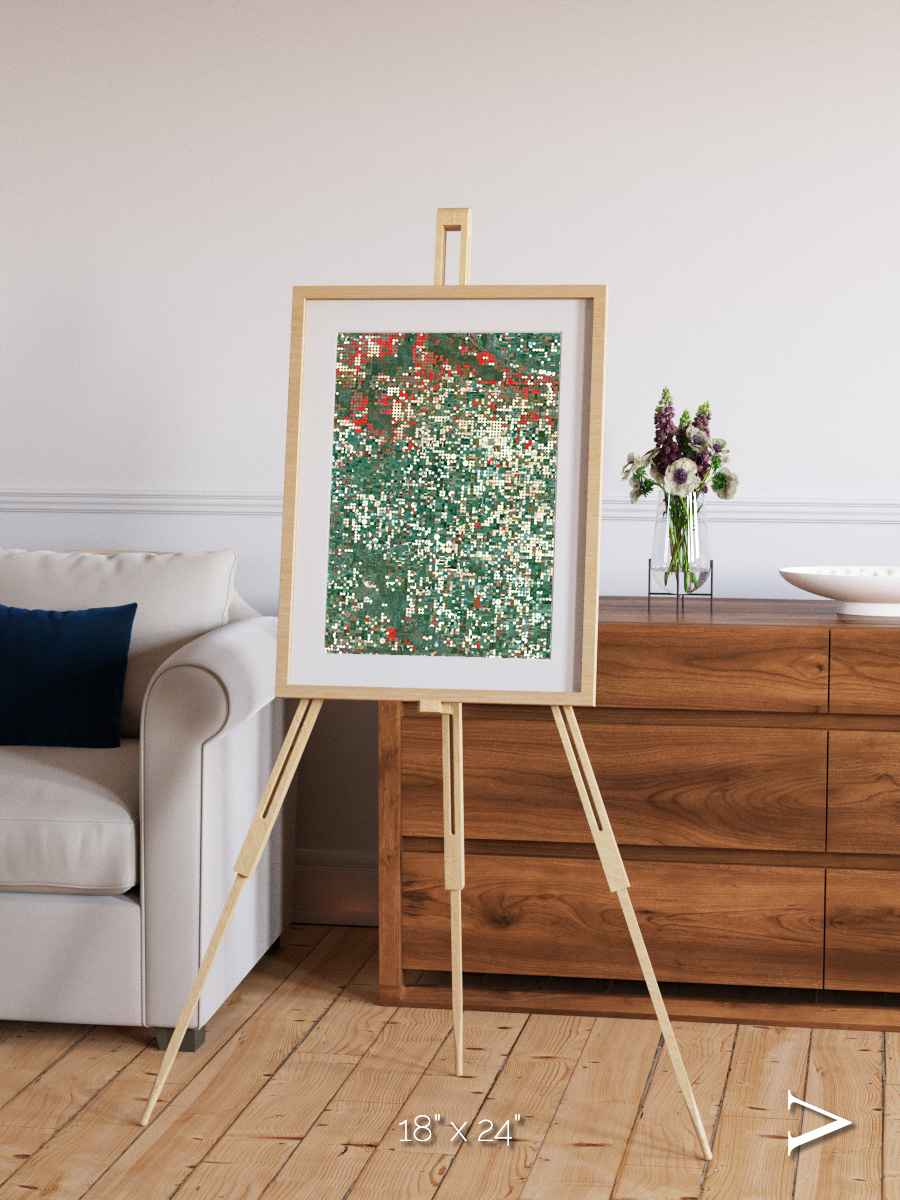 Patterns of Growth, Garden City Framed & Mounted Print