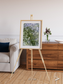 Earth in Colour, Namaqualand Framed & Mounted Print