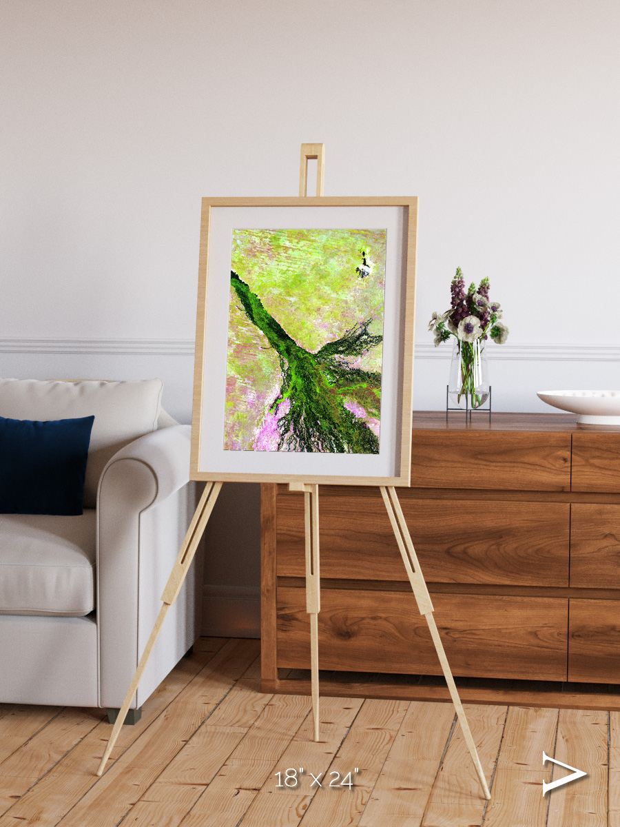Inland Bloom, Okavango Framed & Mounted Print