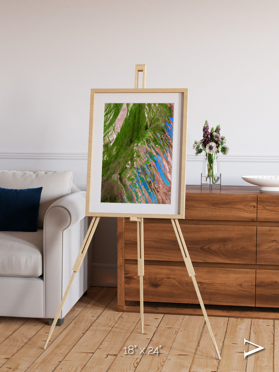 Desert Bloom, Lake Eyre Basin Framed & Mounted Print