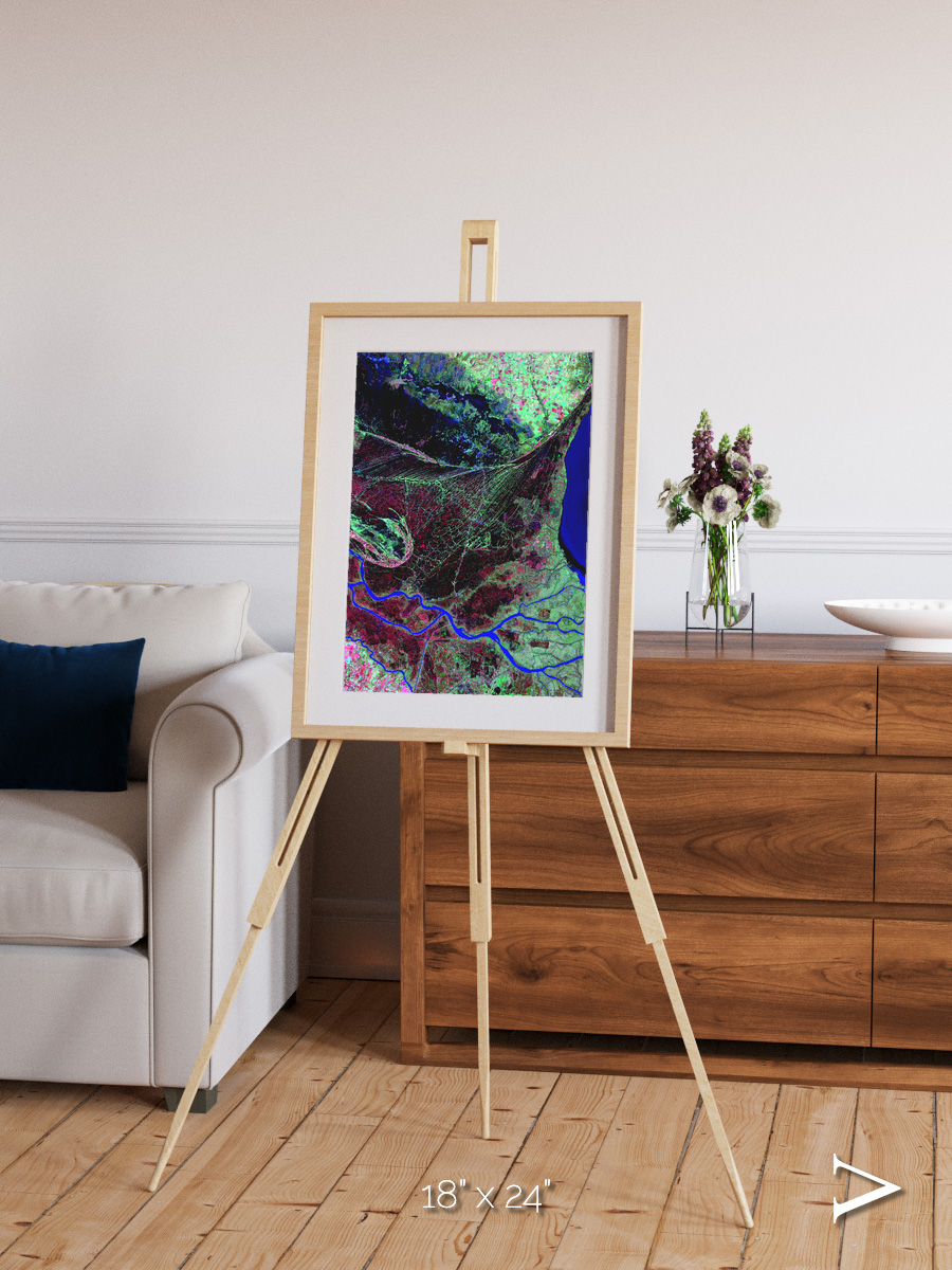 Braided Delta, Parana River Delta Framed & Mounted Print