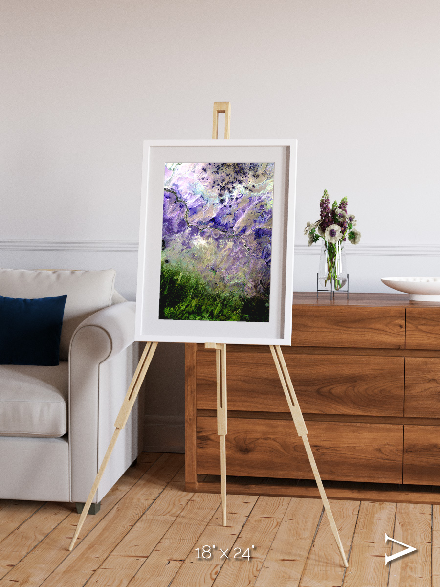 Arid Mosaic, Desert to Forest Framed & Mounted Print