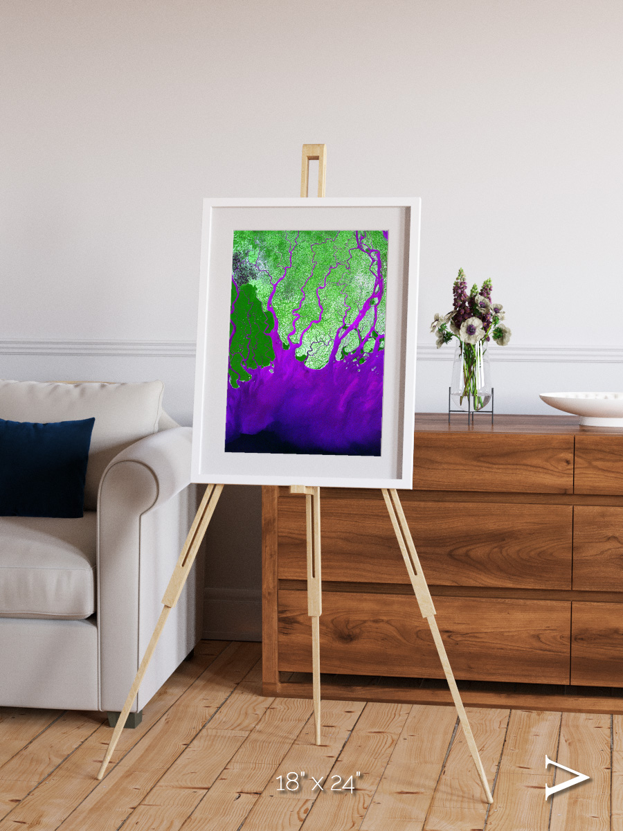 Delta Mosaic, Ganges River Delta Framed & Mounted Print