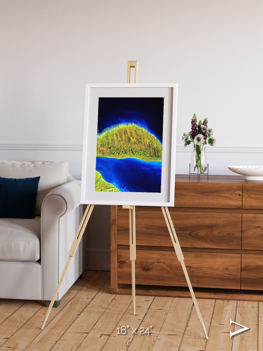 Coastal Fragments, Island Rebound Framed & Mounted Print