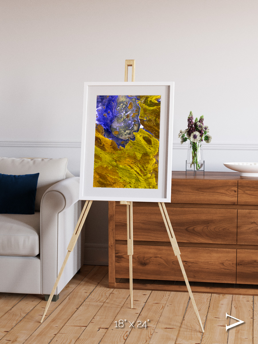 Saline Patterns, Lake Disappointment Framed & Mounted Print