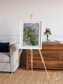 Earth in Colour, Namaqualand Framed & Mounted Print
