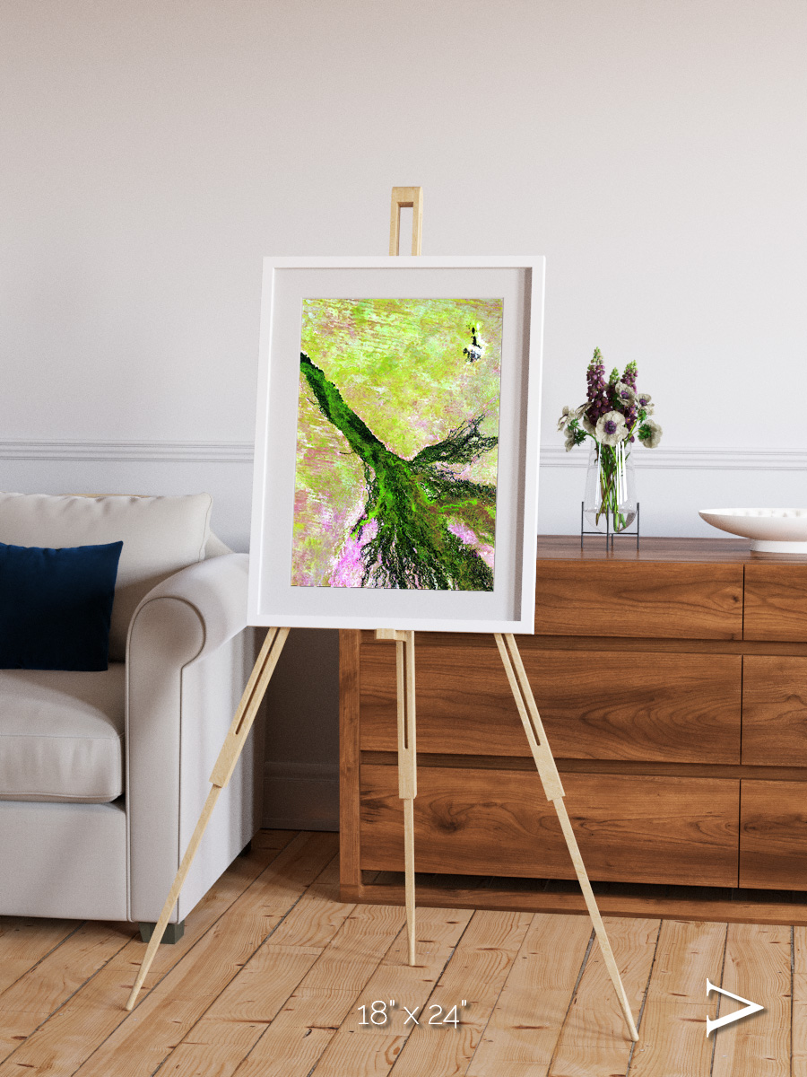 Inland Bloom, Okavango Framed & Mounted Print