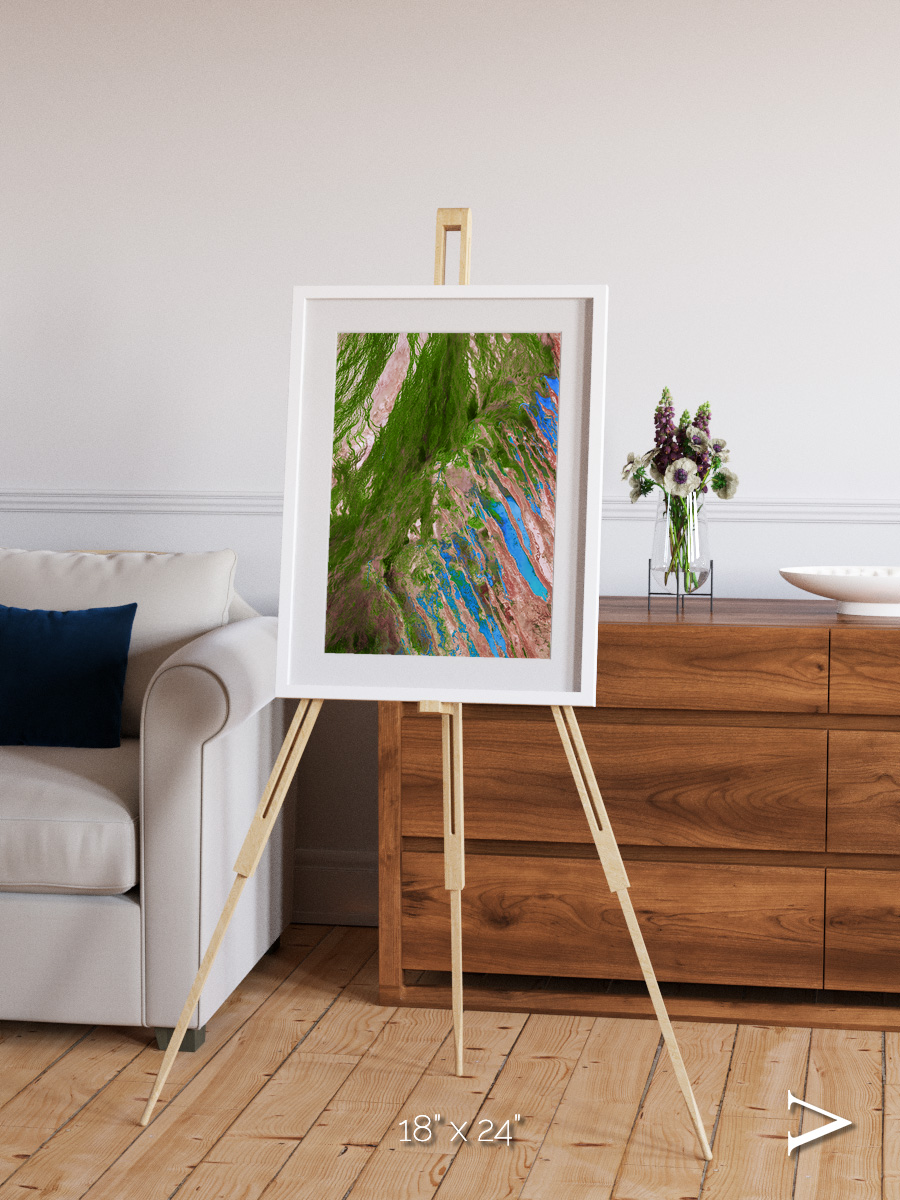 Desert Bloom, Lake Eyre Basin Framed & Mounted Print