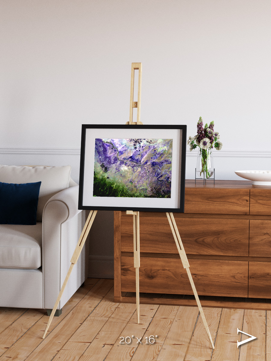 Arid Mosaic, Desert to Forest Framed & Mounted Print