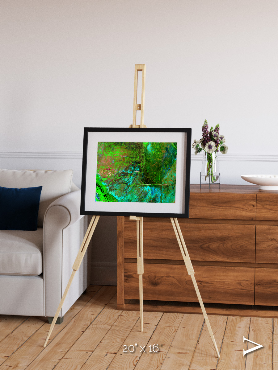 Linear Dunes, Florida Everglades Framed & Mounted Print