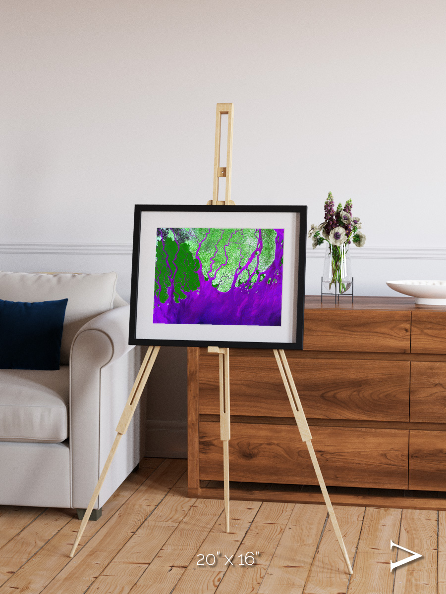 Delta Mosaic, Ganges River Delta Framed & Mounted Print