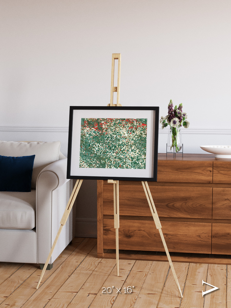 Patterns of Growth, Garden City Framed & Mounted Print