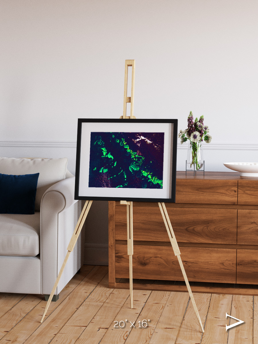 Patterned Ground, Great Barrier Reef Framed & Mounted Print