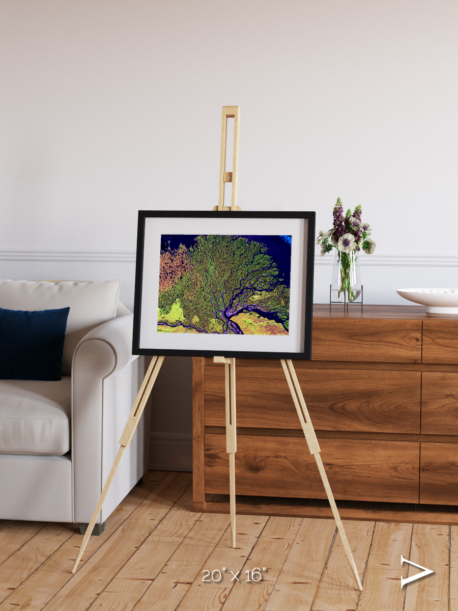 Delta Mosaic, Lena Delta Framed & Mounted Print