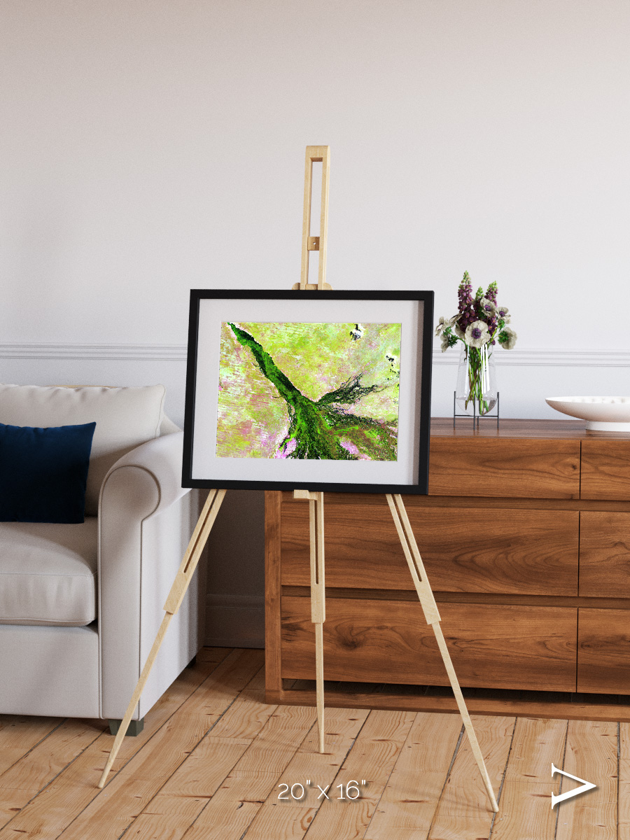 Inland Bloom, Okavango Framed & Mounted Print