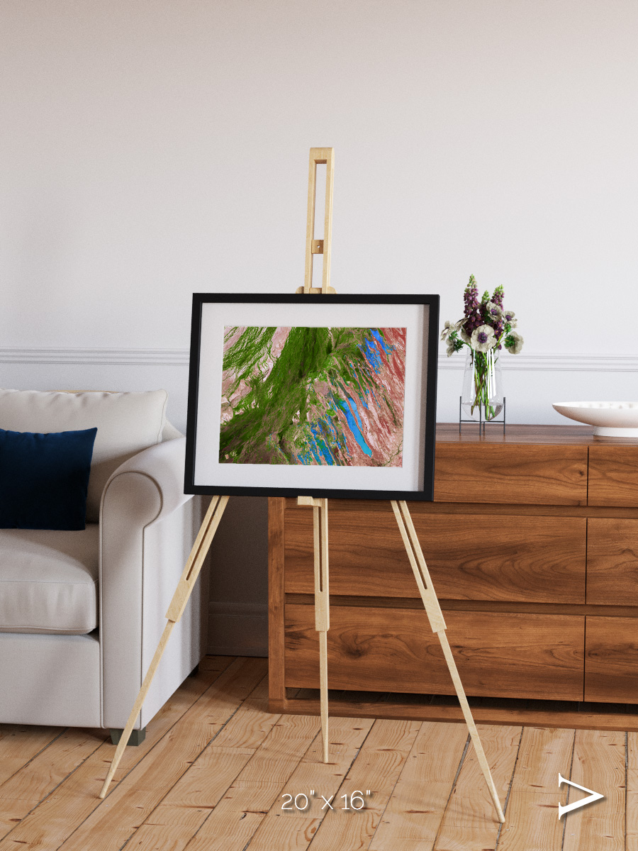 Desert Bloom, Lake Eyre Basin Framed & Mounted Print