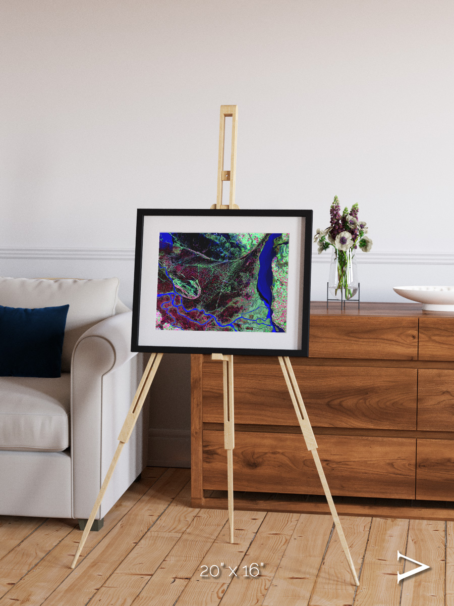 Braided Delta, Parana River Delta Framed & Mounted Print