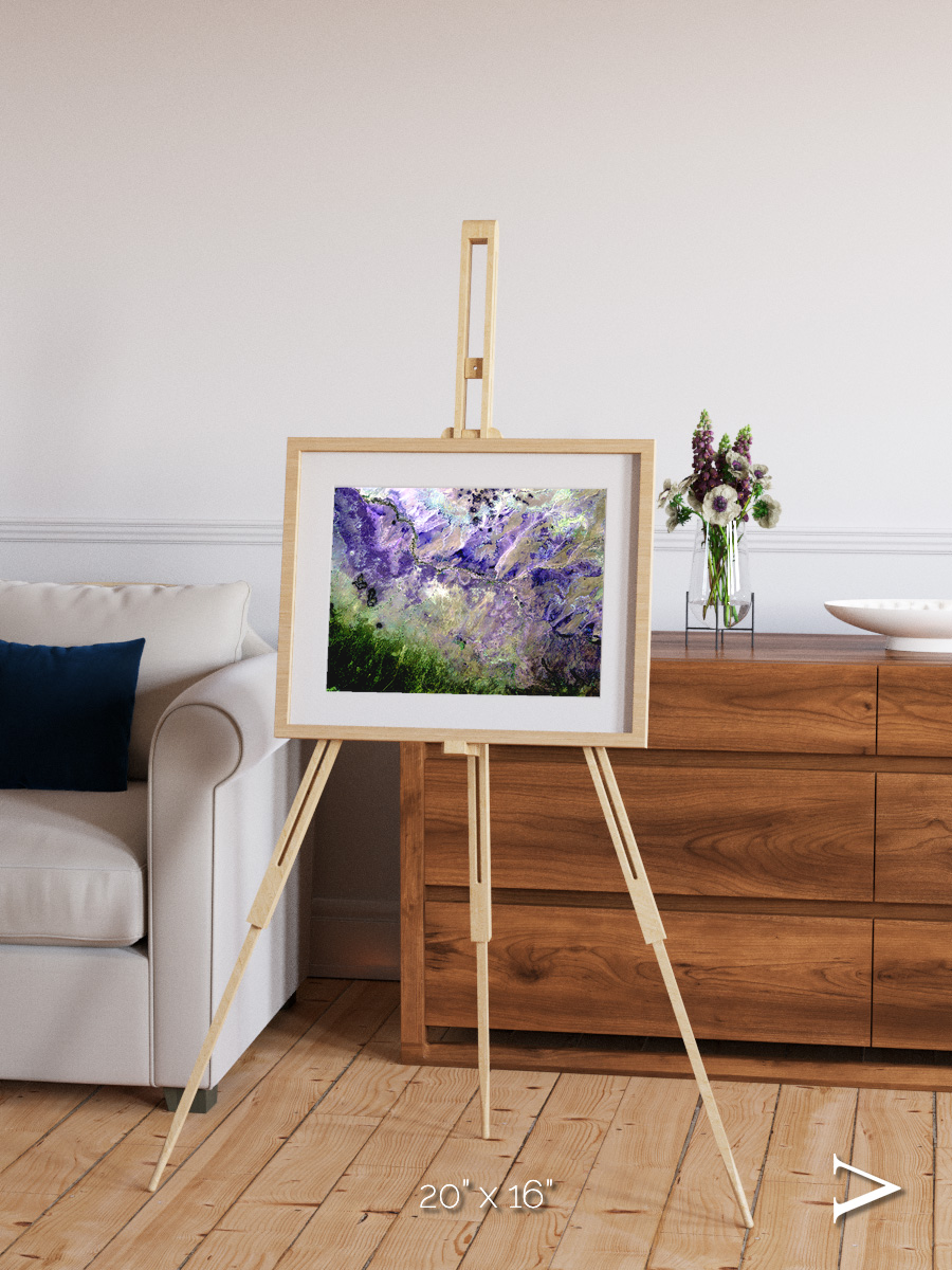 Arid Mosaic, Desert to Forest Framed & Mounted Print