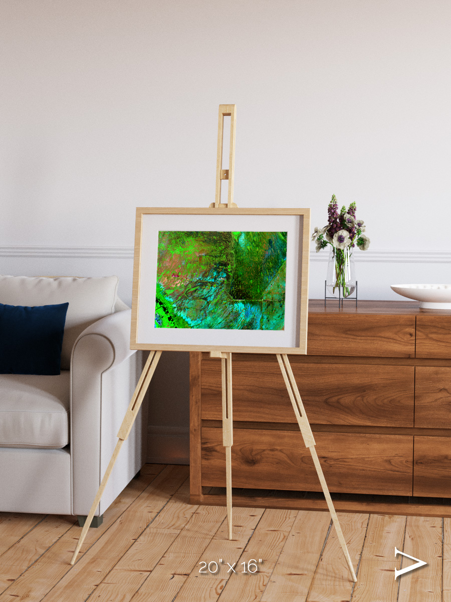 Linear Dunes, Florida Everglades Framed & Mounted Print