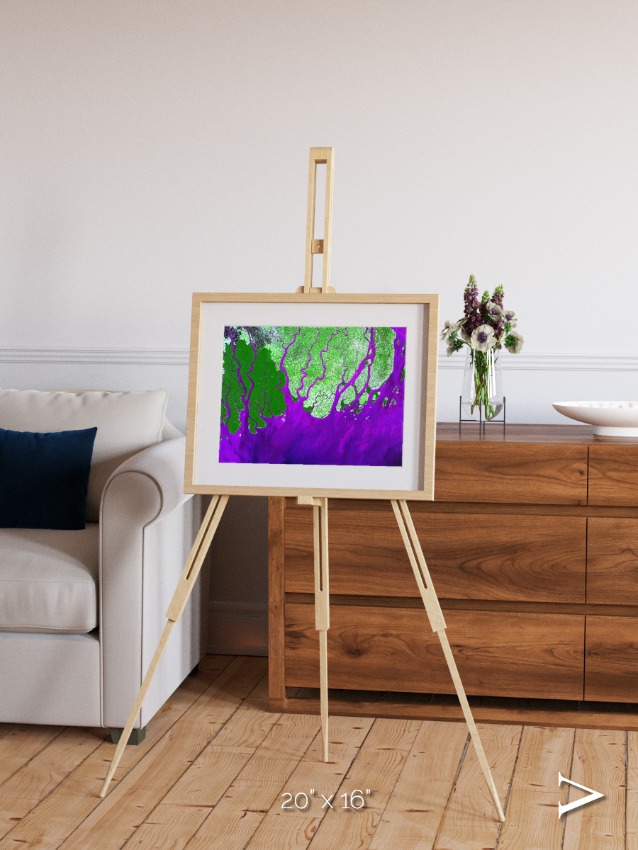 Delta Mosaic, Ganges River Delta Framed & Mounted Print
