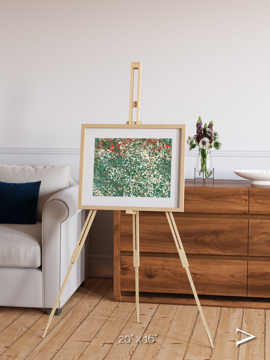 Patterns of Growth, Garden City Framed & Mounted Print