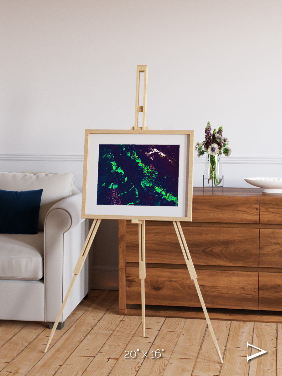 Patterned Ground, Great Barrier Reef Framed & Mounted Print