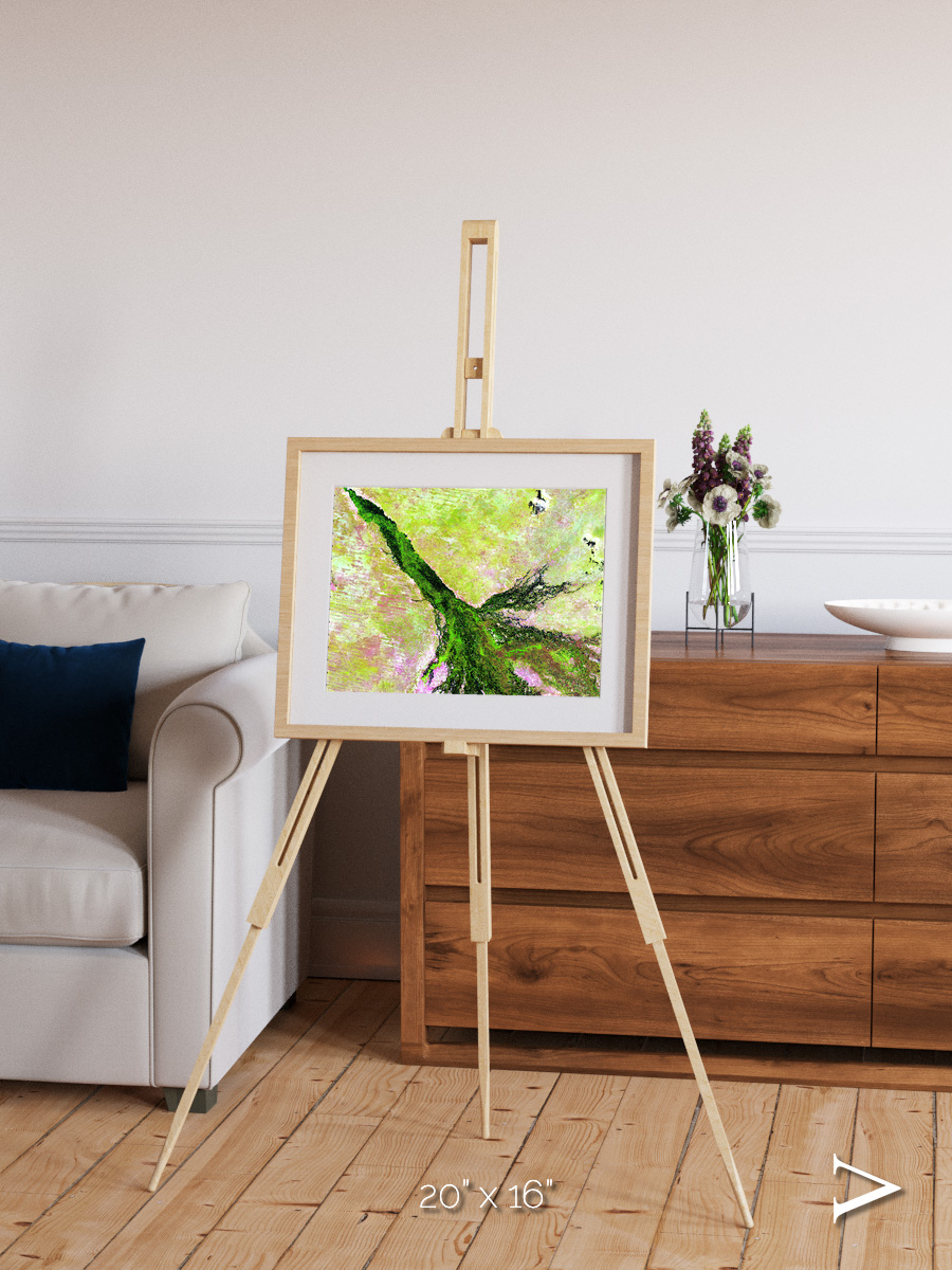 Inland Bloom, Okavango Framed & Mounted Print