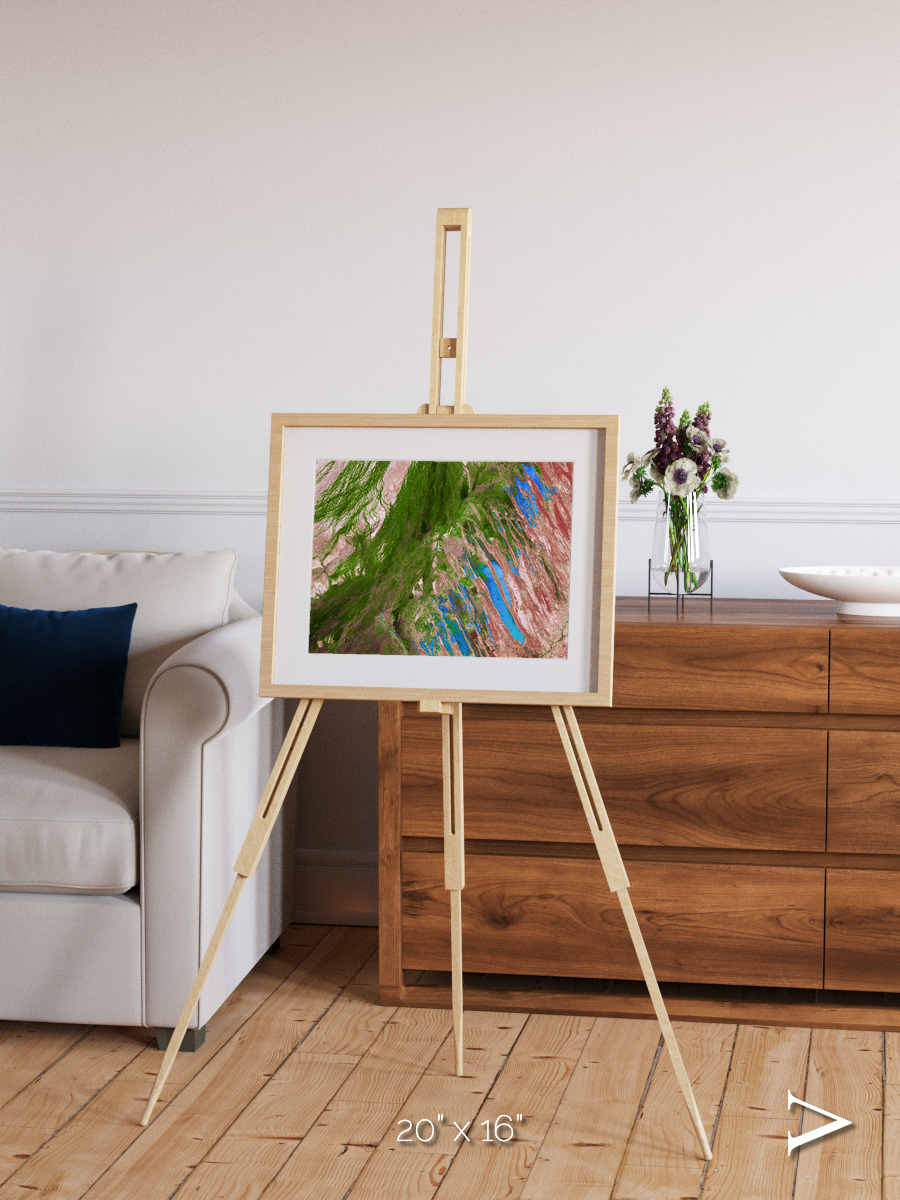 Desert Bloom, Lake Eyre Basin Framed & Mounted Print