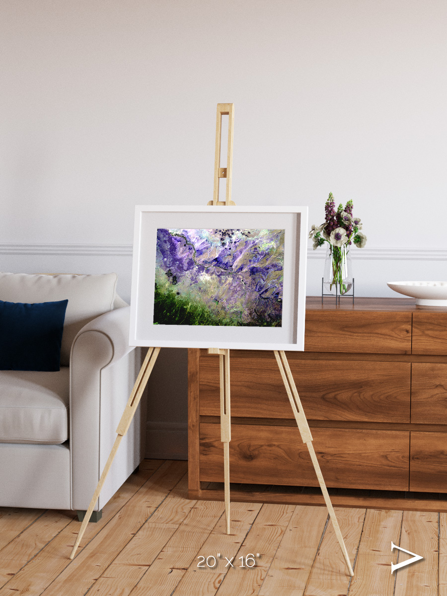Arid Mosaic, Desert to Forest Framed & Mounted Print