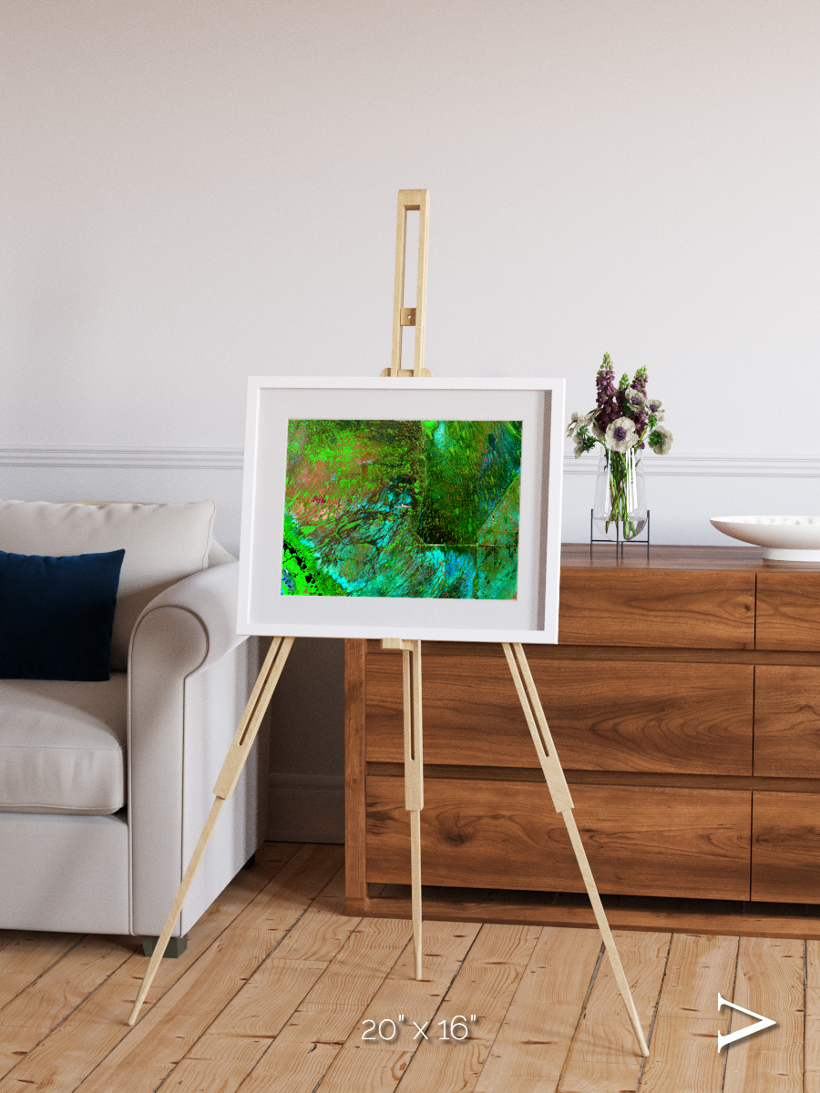 Linear Dunes, Florida Everglades Framed & Mounted Print