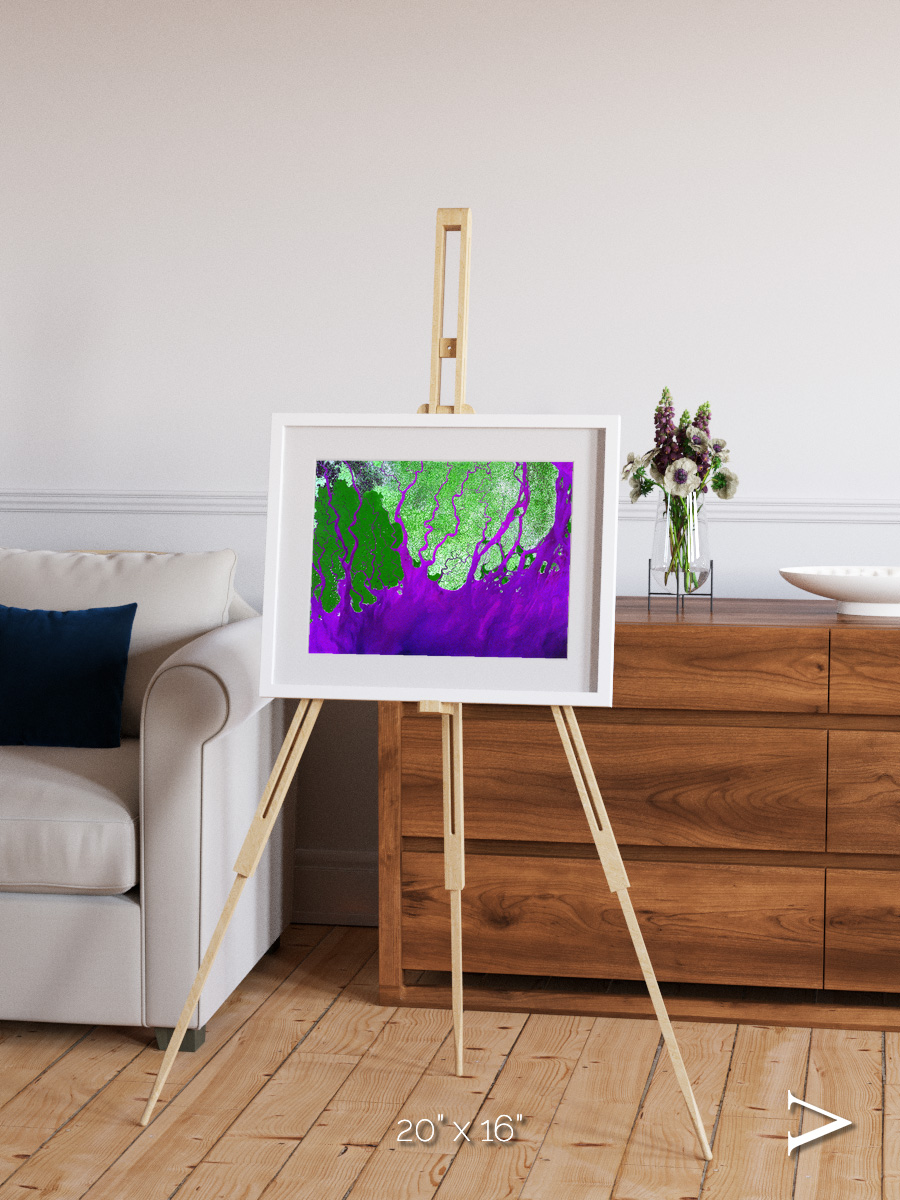 Delta Mosaic, Ganges River Delta Framed & Mounted Print