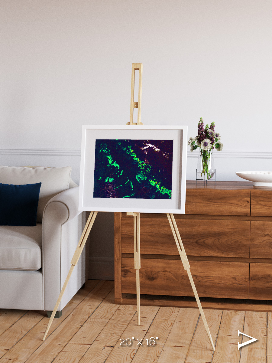 Patterned Ground, Great Barrier Reef Framed & Mounted Print