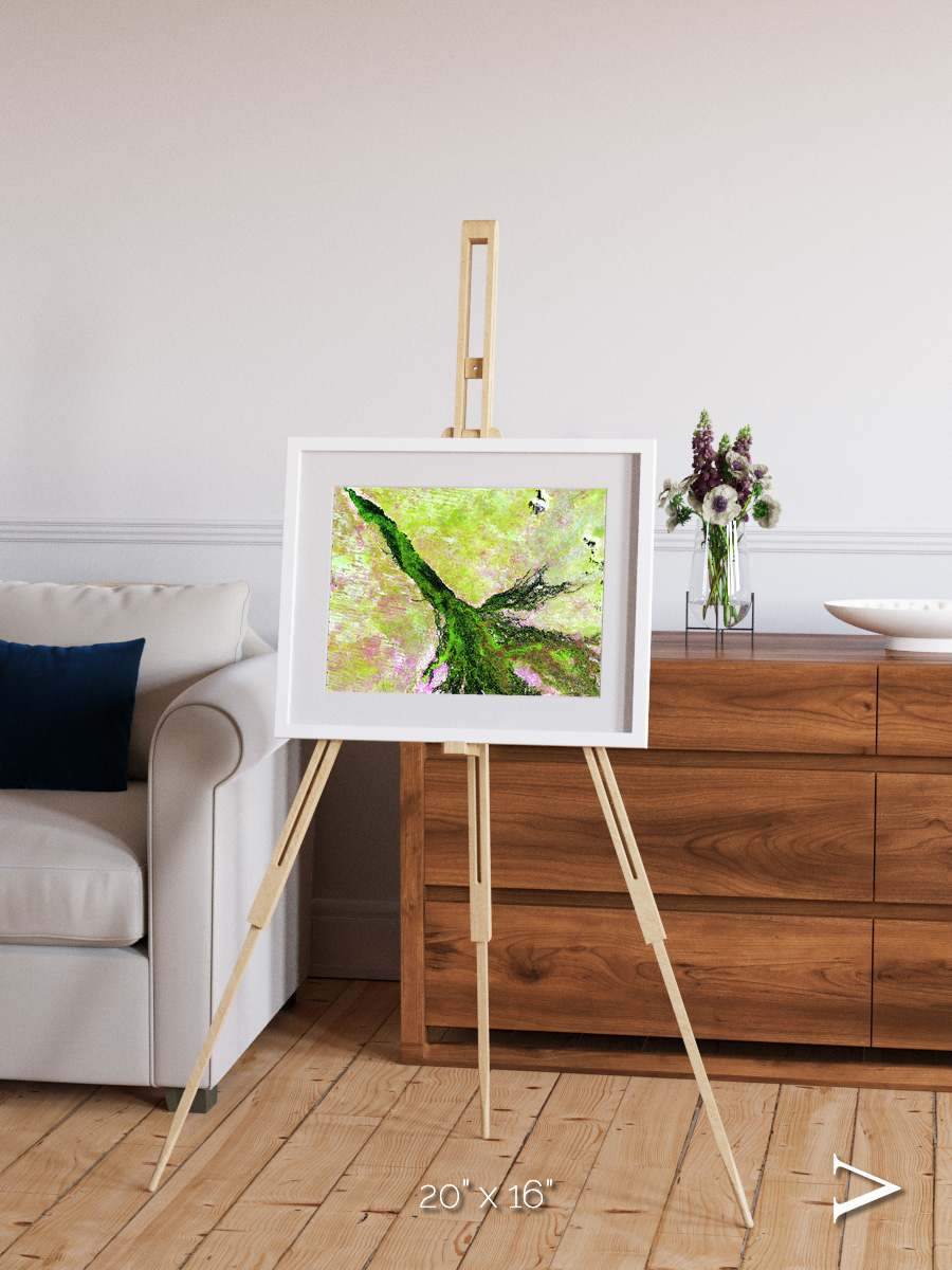 Inland Bloom, Okavango Framed & Mounted Print