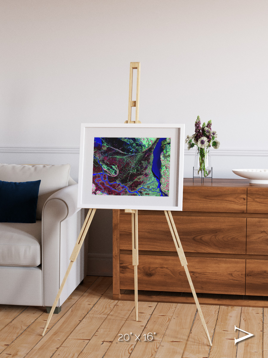 Braided Delta, Parana River Delta Framed & Mounted Print
