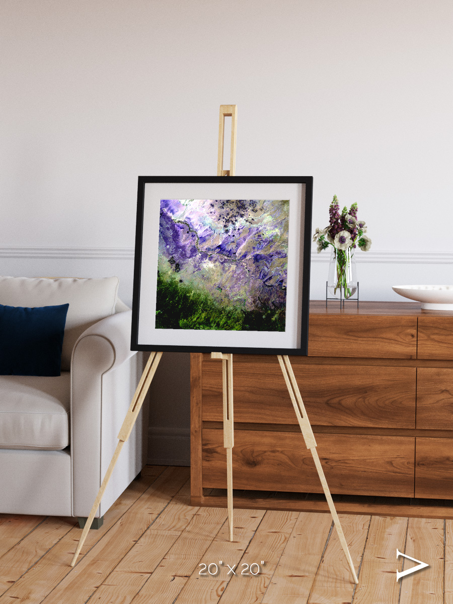 Arid Mosaic, Desert to Forest Framed & Mounted Print