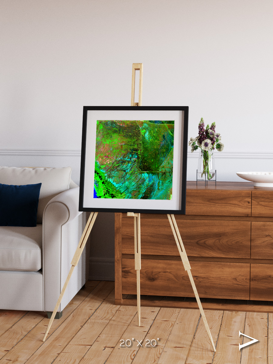 Linear Dunes, Florida Everglades Framed & Mounted Print